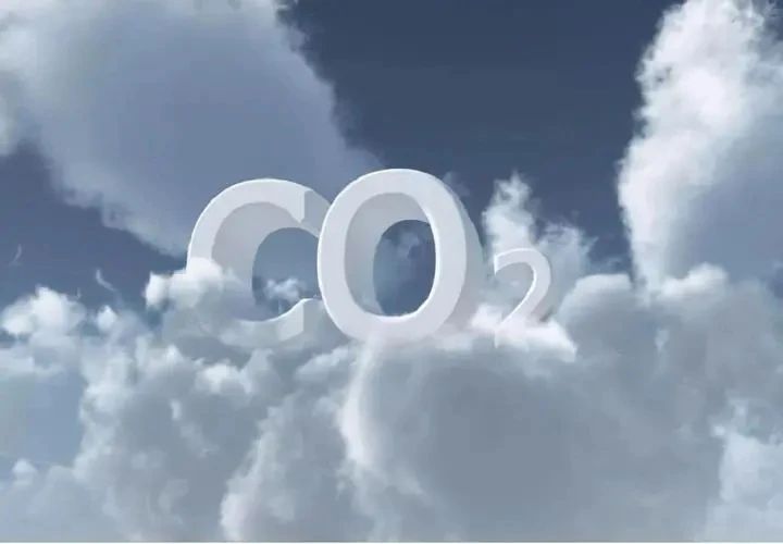 1681743432152627.jpg 6795a5ca299994a8999a9c3187c9cb9d.jpg