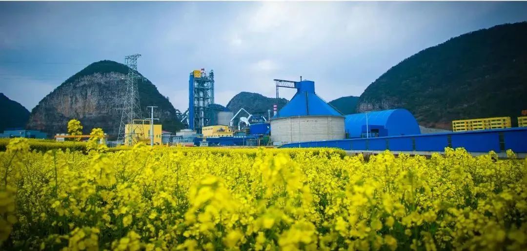 1687344599330441.jpg 72dd935f2223be10b0a2b0bdaf3be4e5.jpg